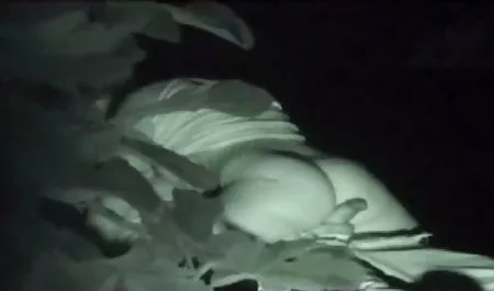 脂肪slut エロ 動画 処女 danniドーソンが彼女のasshole満ちたコック